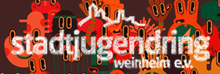 Stadtjugendring Weinheim Webdesign Hosting